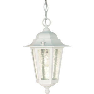1 Light 13" White Clear Seeded Glass Shade Hanging Lantern Light Fixture 1