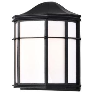 14 watt 120 volt 3000K Black Cage LED Outdoor Wall Sconce 1