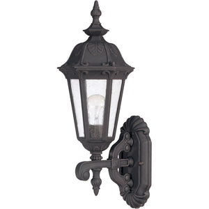 1 Light 7" Satin Iron Ore Seeded Mist Glass Shade Outdoor Wall Lantern Light Fixture 1