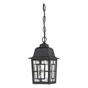 1 Light 11" Textured Black Clear Water Glass Shade Hanging Lantern Light Fixture 1