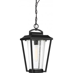 1 Light Aged Bronze Clear Seed Glass Shade Hanging Lantern Fixture 1