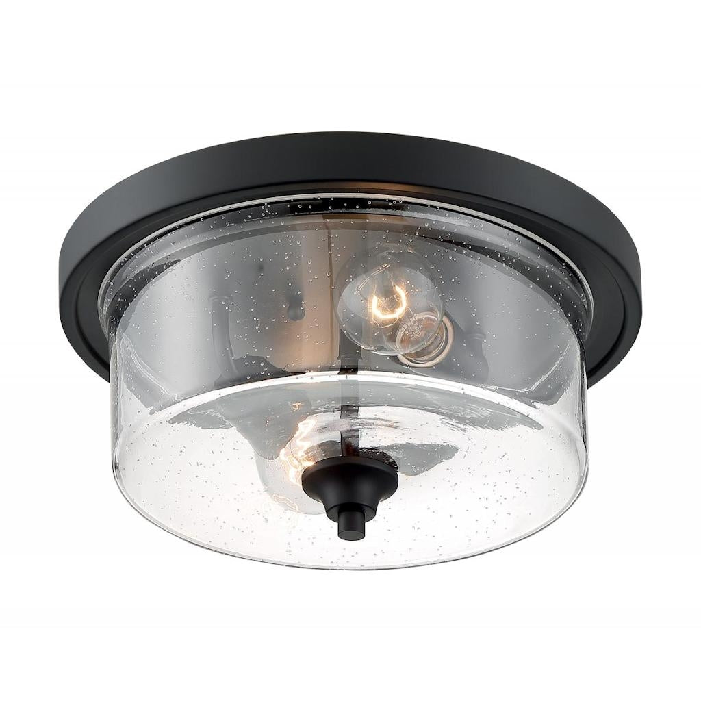 2 Light 120 volt Matte Black Ceiling Light Fixture 1