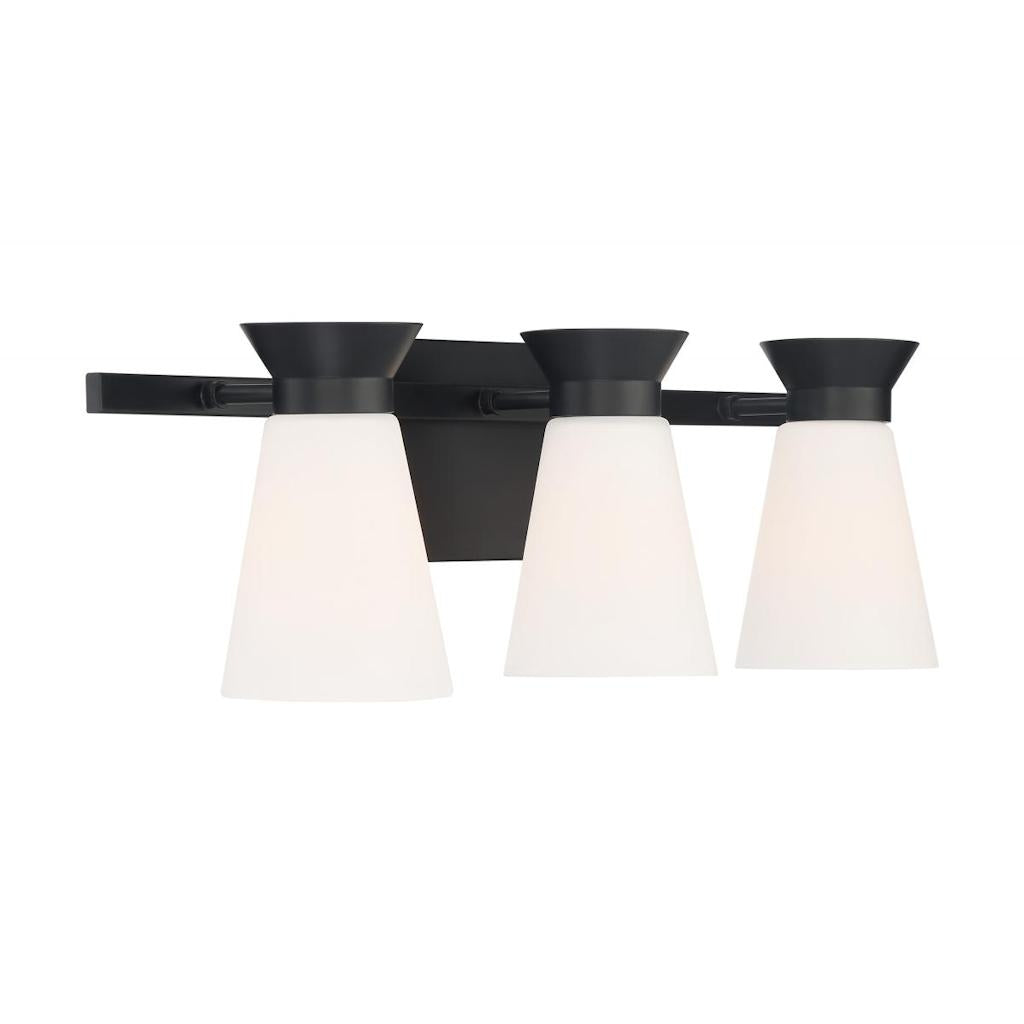 3 Light 120 volt Black Vanity Light Fixture 1