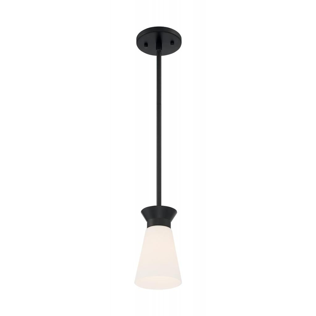 1 Light 120 volt Black Indoor Mini Pendant Light Fixture 1