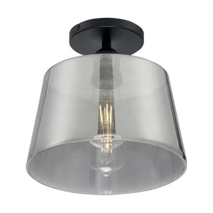 1 Light 120 volt Black Ceiling Light 1