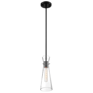 1 Light 120 volt Black Indoor Mini Pendant Light Fixture 1