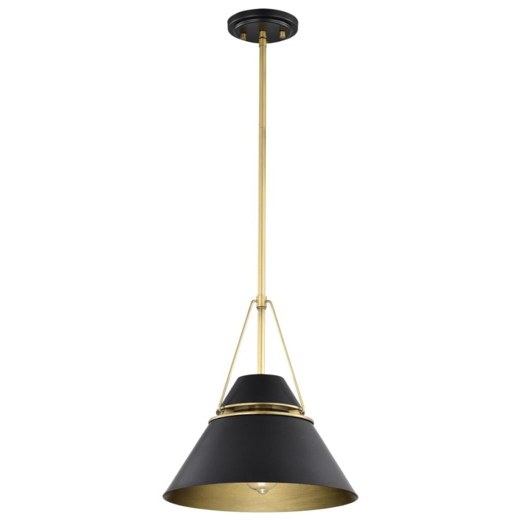 1 Lamp Matte Black Adina Pendant Light Fixture 1