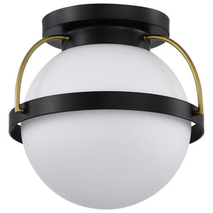 1 Lamp Matte Black Indoor Flush Mount Light Fixture 1