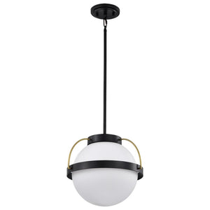 1 Lamp Matte Black Lakeshore Indoor Pendant Light Fixture 1