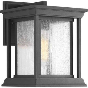 1 Light Black with Clear Seeded Glass Endicott Wall Light Fixture 1