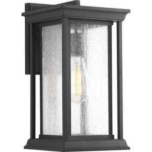 1 Light Black with Clear Seeded Glass Medium Endicott Wall Light Fixture 1