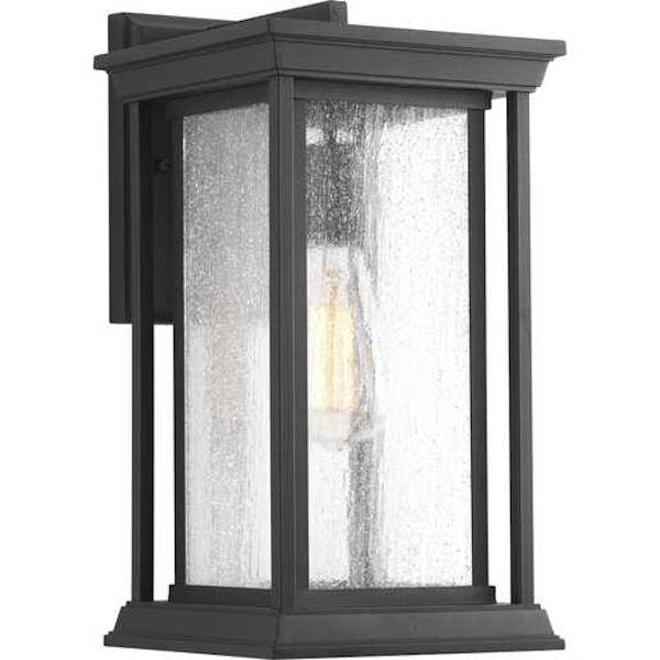 1 Light Black with Clear Seeded Glass Medium Endicott Wall Light Fixture 1