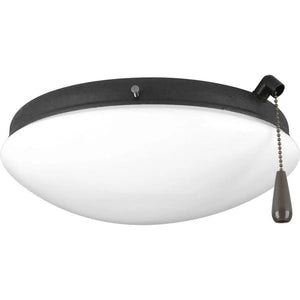 2 Light Forged Black Opal Glass Shade AirPro Collection Light Kit 1