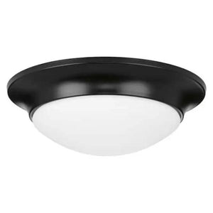 1 Light 120 volt Matte Black Etched Glass Ceiling Light Fixture 1