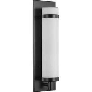 1 Light 120 volt Matte Black Etched Opal Glass Light Fixture 1