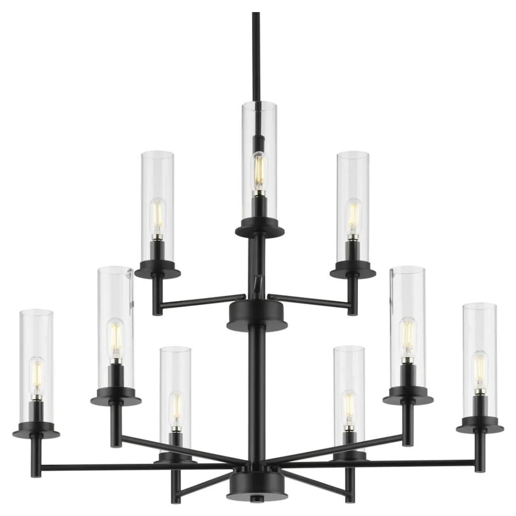9 Light Matte Black Clear Glass Shade Chandelier Light Fixture 1
