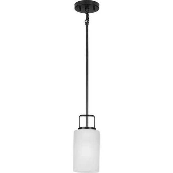 1 Light Matte Black Etched Glass Shade Pendant Light Fixture 2