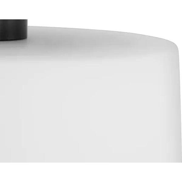 1 Light 120 volt Matte Black Frosted Glass Bowl Ceiling Light Fixture 2