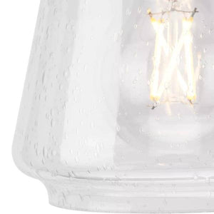 1 Light 120 volt Aged Bronze Vanity Clear Seeded Glass Light Fixture 3