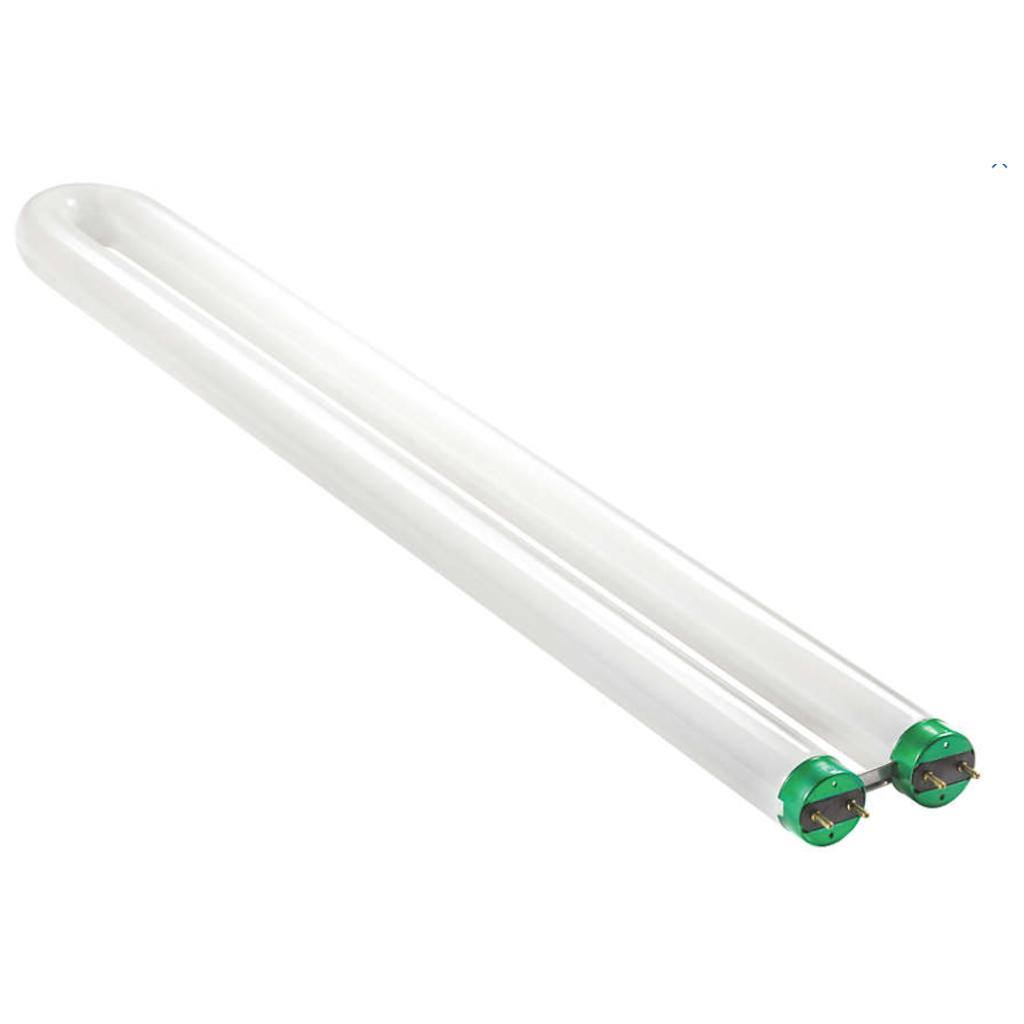 31 watt 22.6" T8 Bi-Pin Base 4100K Cool White 1