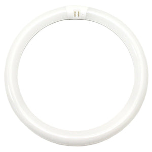 32 watt 12" T9 4-Pin Base 3000K Natural White Fluorescent 1