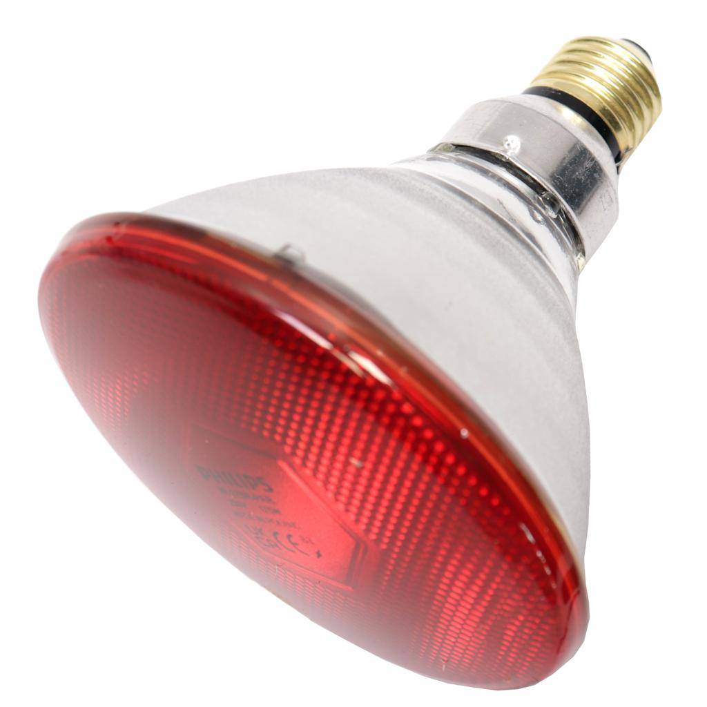 175 watt 230 volt PAR38 European Medium Screw Base 1
