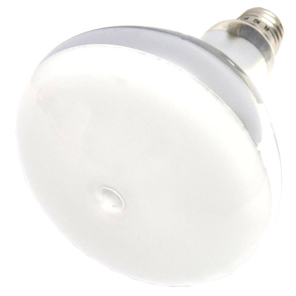 70 watt R40 Medium Screw Base 4000K Cool White Coated Flood Metal Halide 1