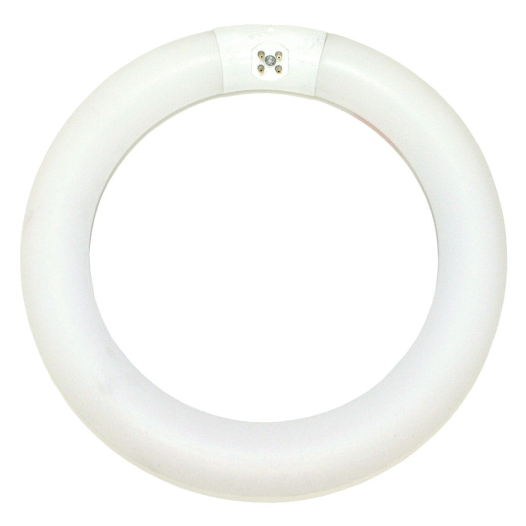 22 watt 8" T9 4-Pin Base 4100K Cool White Tuffcoat 1