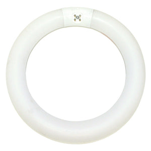 22 watt 8" T9 4-Pin Base 4100K Cool White Tuffcoat 1