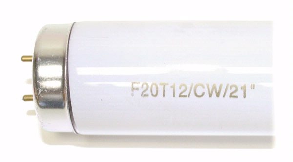 20 watt 21" T12 Medium Bi-Pin Base 4200K Cool White 3