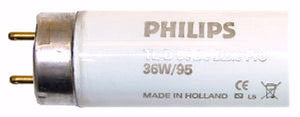 36 watt 48" T8 Bi-Pin Base 5000K Daylight 3
