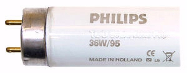 36 watt 48" T8 Bi-Pin Base 5000K Daylight 3
