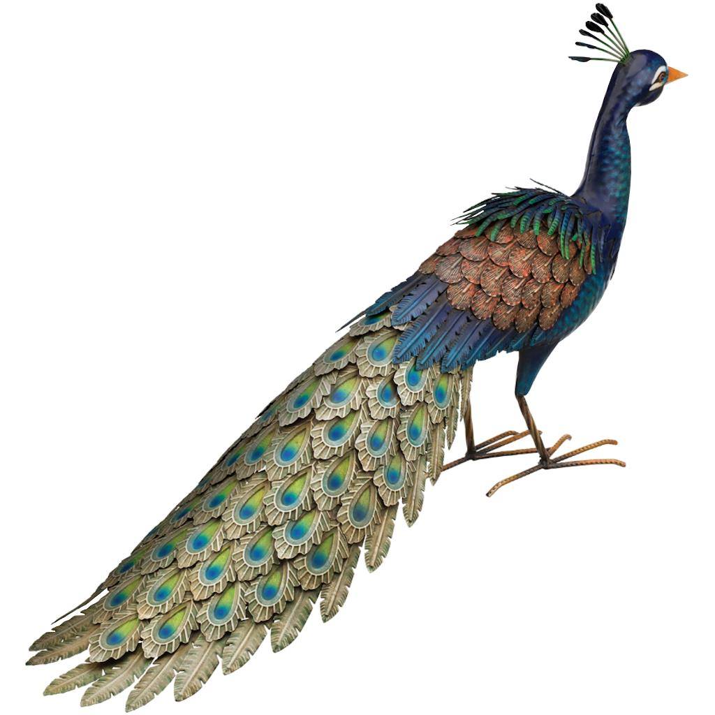 Blue Patina Peacock Roamer 1