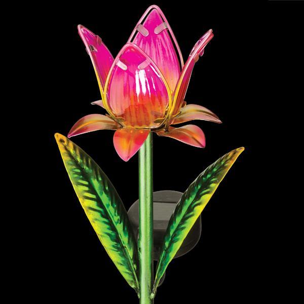 Pink Solar Tulip Garden Stake 3