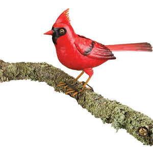 Small Red Cardinal 2