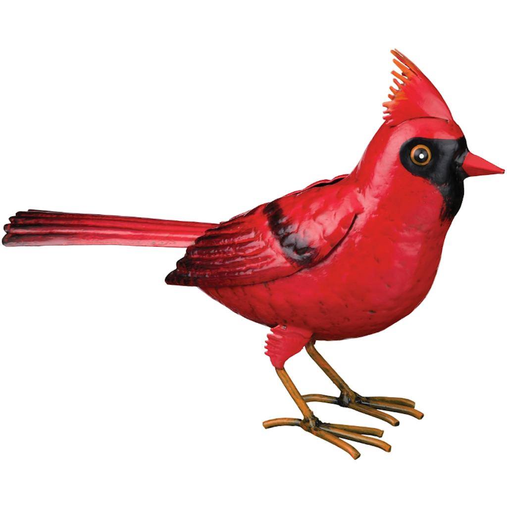 Small Red Cardinal 1