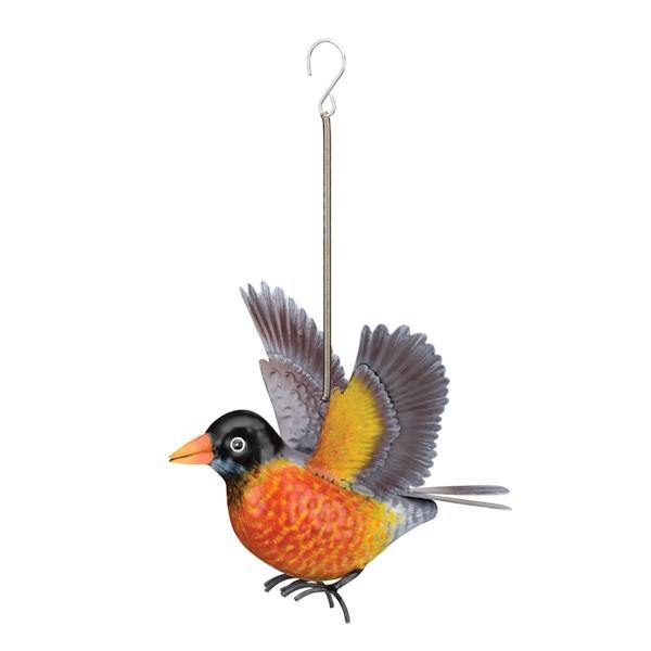 Robin Bouncie 2
