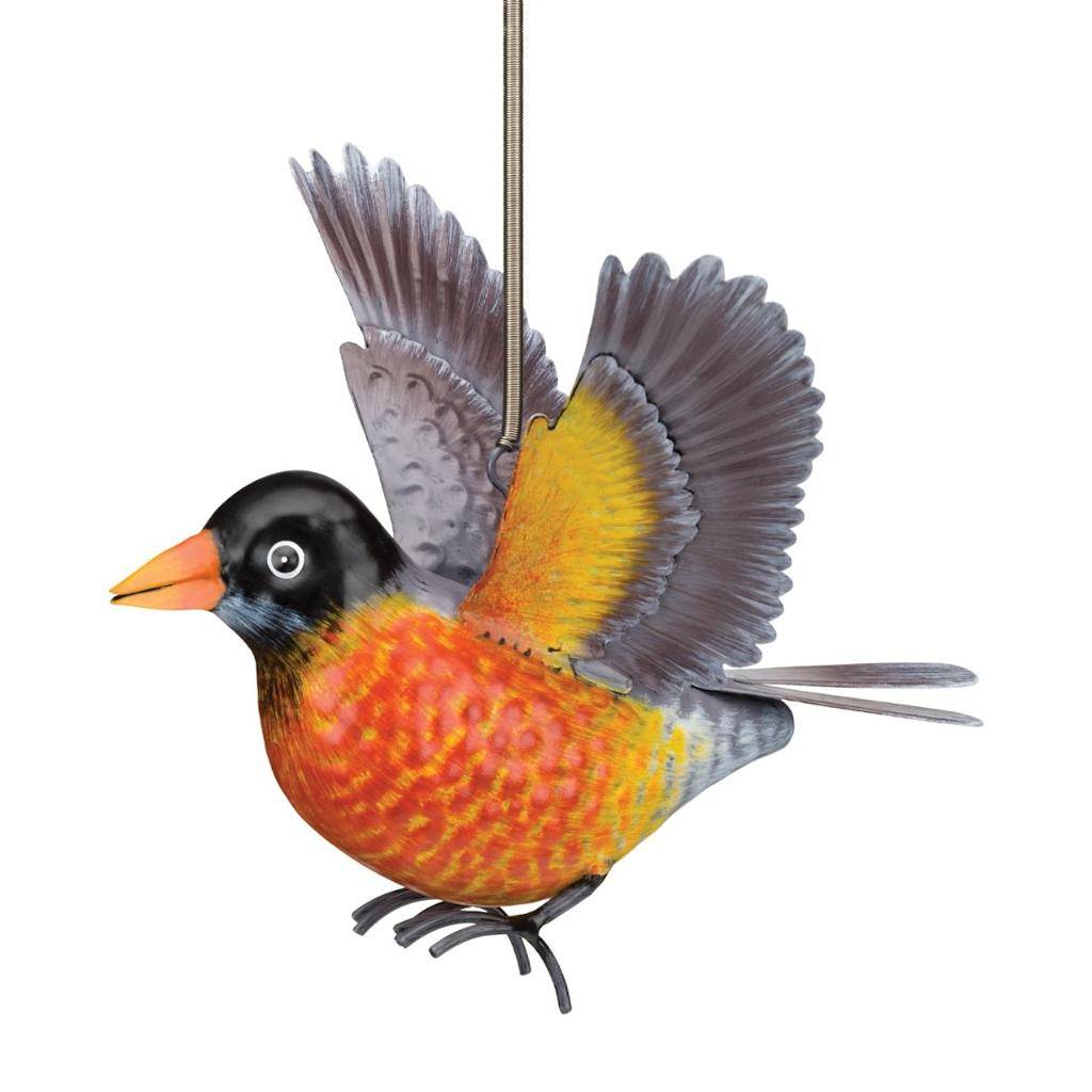Robin Bouncie 1