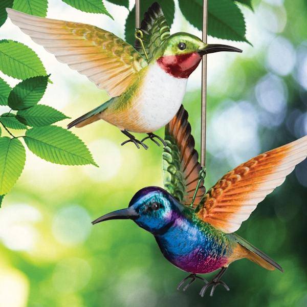 Coronet/Ruby Hummingbird Bouncie (2 Pack) 2