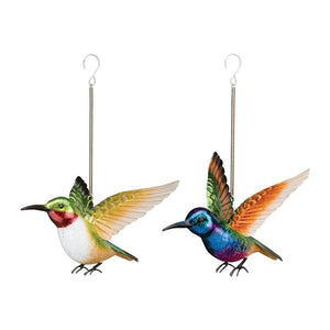Coronet/Ruby Hummingbird Bouncie (2 Pack) 1