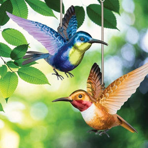 Rufous/Woodnymph Hummingbird Bouncie (2 Pack) 2