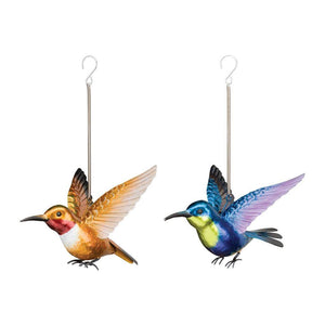 Rufous/Woodnymph Hummingbird Bouncie (2 Pack) 1