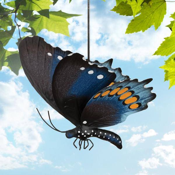 17" Pipevine Butterfly Bouncie 3