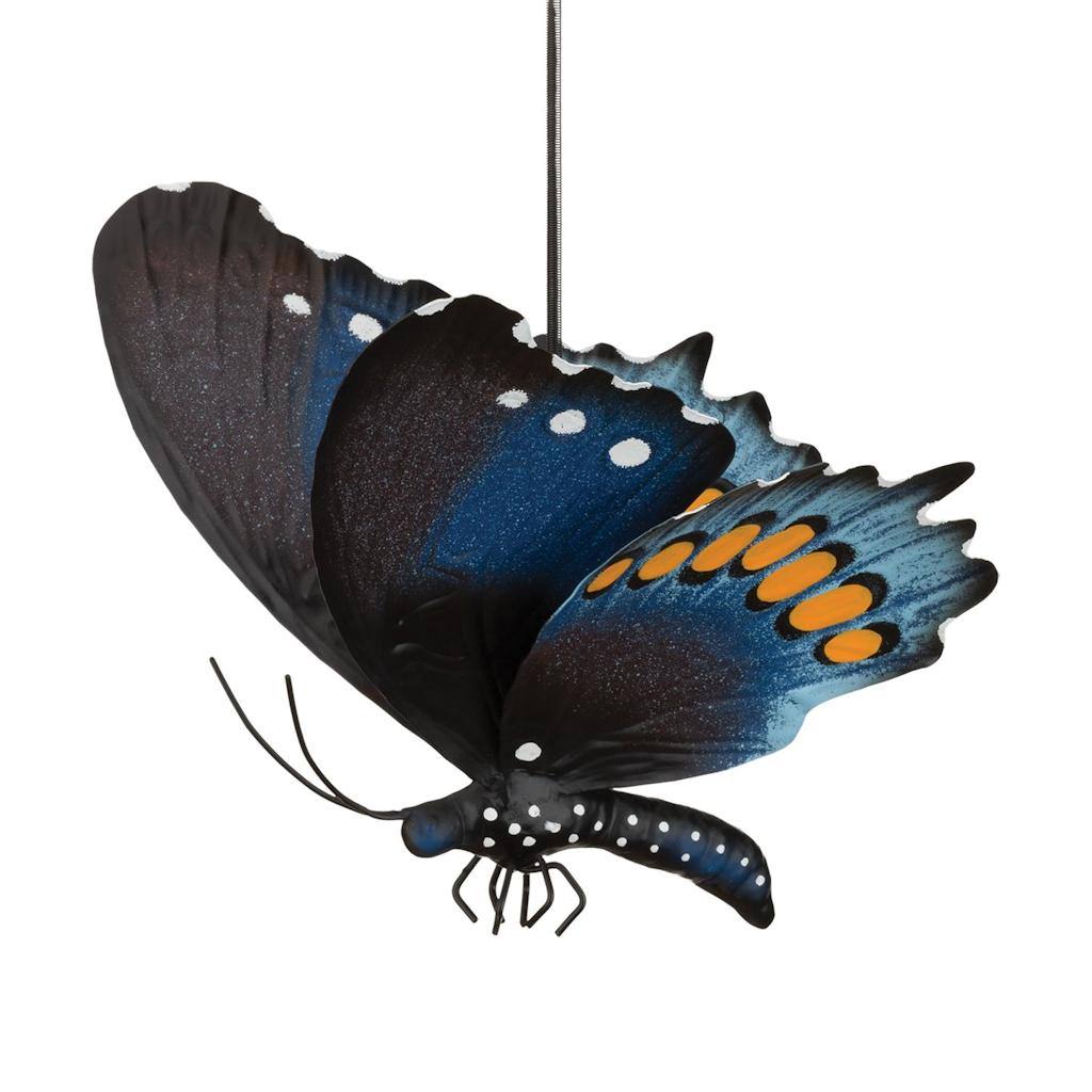 17" Pipevine Butterfly Bouncie 1