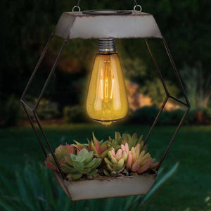 Diamond Edison Artificial Succulent Solar Lantern 3