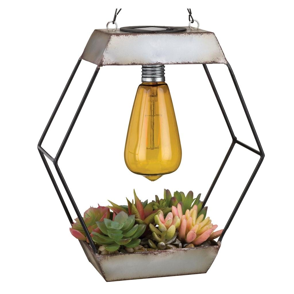 Diamond Edison Artificial Succulent Solar Lantern 1