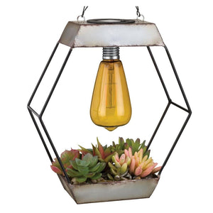 Diamond Edison Artificial Succulent Solar Lantern 1