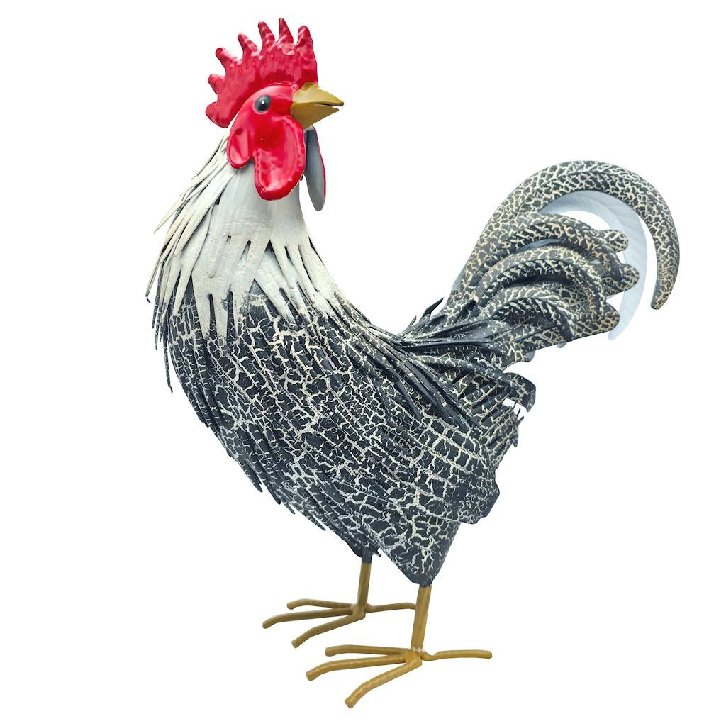 14" Murray Rooster Preening Decor 1