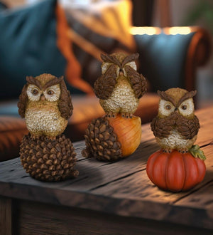 5" Resin Harvest Owl Décor (Set of 3) 3
