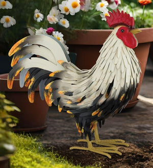 13.5" Brahma Rooster SM Decor 2